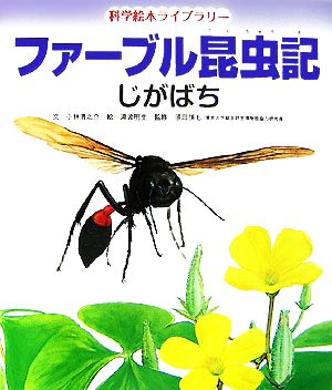 ファーブル昆虫記 じがばち 科学絵本ライブラリー