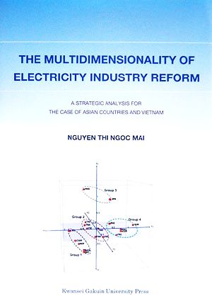 The Multidimensionality of Electricity Industry Reform:A Strategic Analysis for the Case of Asian Countries and Vietnam