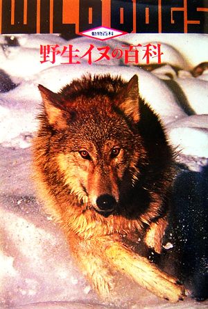 野生イヌの百科 第2版動物百科