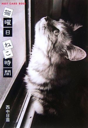 猫曜日ねこ時間 新風舎文庫POST CARD BOOK