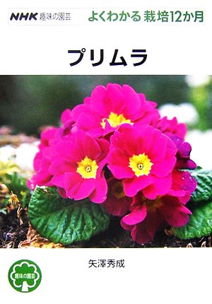趣味の園芸 プリムラ よくわかる栽培12か月 NHK趣味の園芸