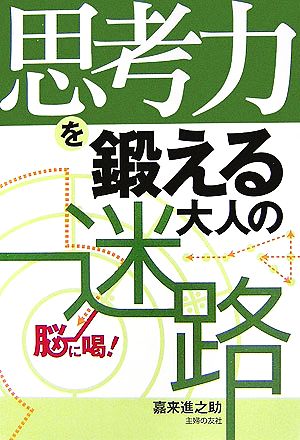 思考力を鍛える大人の迷路 脳に喝！