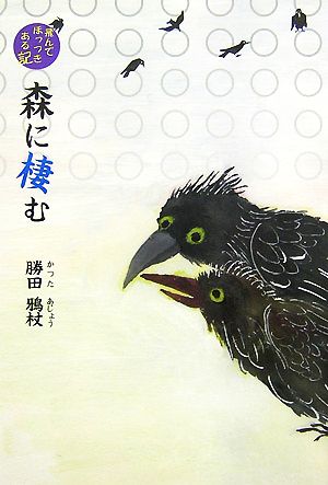 森に棲む 飛んでほっつきある記