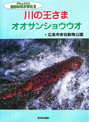 川の王さまオオサンショウウオ ドキュメント地球のなかまたち