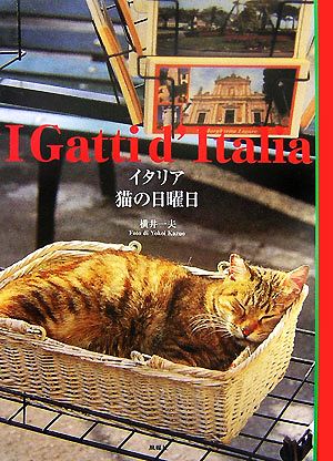 イタリア 猫の日曜日