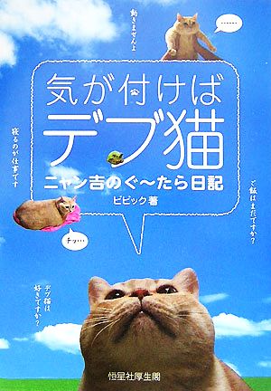 気が付けばデブ猫 ニャン吉のぐーたら日記