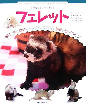 フェレット 小動物ビギナーズガイド