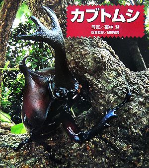 カブトムシ(1) ドキドキ！生きもの発見