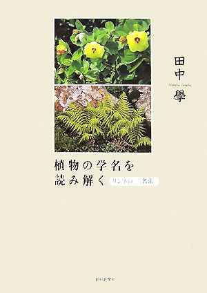 植物の学名を読み解く リンネの「二名法」