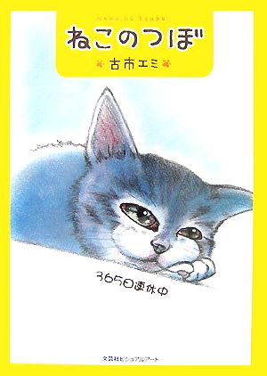 ねこのつぼ