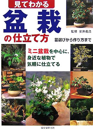 見てわかる盆栽の仕立て方