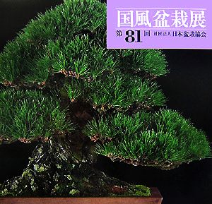 国風盆栽展 (第81回)