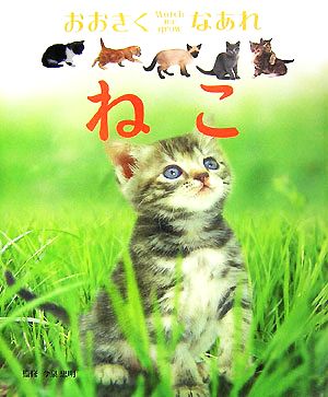 ねこ Watch me grow おおきくなあれ