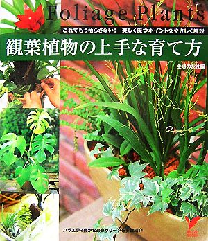 観葉植物の上手な育て方 これでもう枯らさない！美しく保つポイントをやさしく解説 セレクトBOOKS