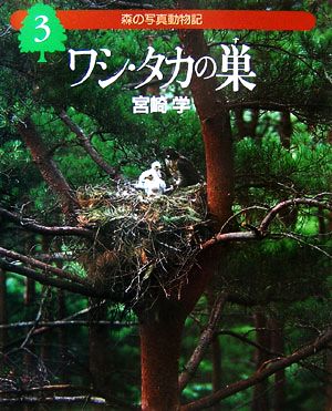 森の写真動物記(3)ワシ・タカの巣