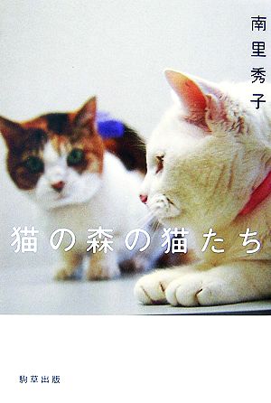 猫の森の猫たち