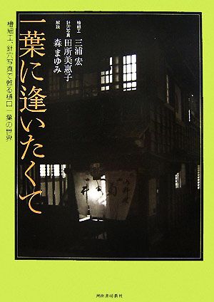 一葉に逢いたくて 檜細工、針穴写真で甦る樋口一葉の世界