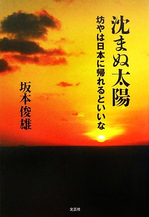 沈まぬ太陽 坊やは日本に帰れるといいな