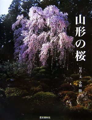 山形の桜