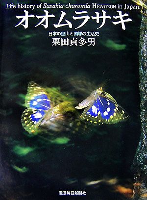 オオムラサキ日本の里山と国蝶の生活史