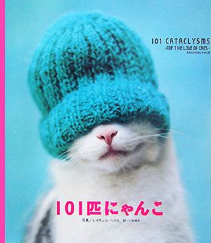 101匹にゃんこ