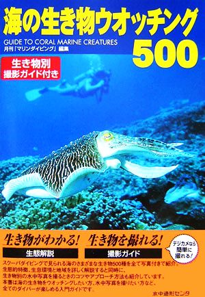 海の生き物ウオッチング500 生き物別撮影ガイド付き