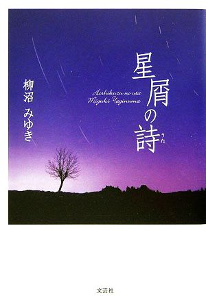 星屑の詩