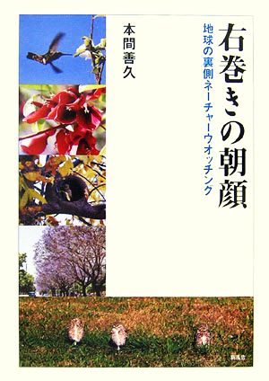 右巻きの朝顔 地球の裏側ネーチャーウオッチング