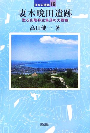 妻木晩田遺跡 甦る山陰弥生集落の大景観 日本の遺跡16