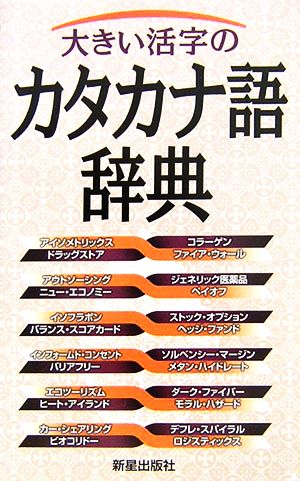 大きい活字のカタカナ語辞典