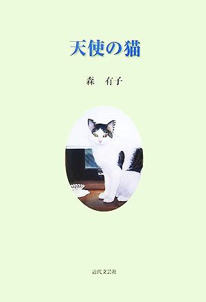 天使の猫