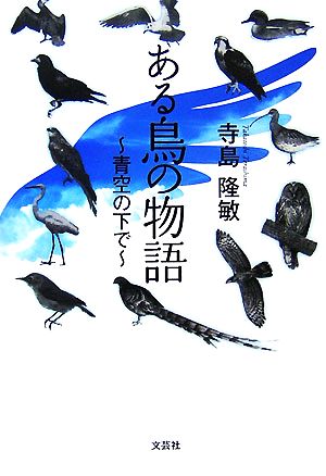 ある鳥の物語 青空の下で