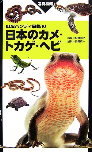 日本のカメ・トカゲ・ヘビ山溪ハンディ図鑑10