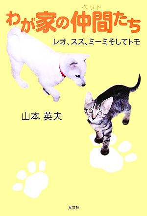 わが家の仲間たち レオ、スズ、ミーミそしてトモ