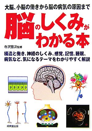 脳のしくみがわかる本 大脳、小脳の働きから脳の病気の原因まで 中古本