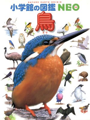 鳥小学館の図鑑NEO5