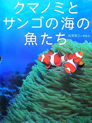 クマノミとサンゴの海の魚たち ちしきのぽけっと5