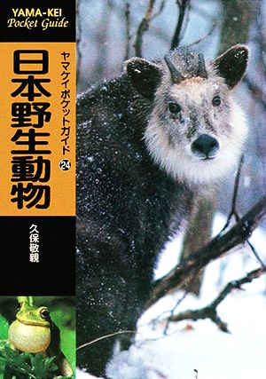 日本野生動物 ヤマケイポケットガイド24