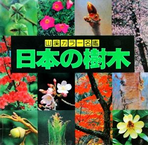 日本の樹木山溪カラー名鑑