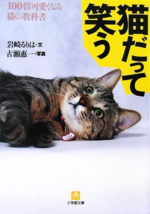 猫だって笑う 100倍可愛くなる猫の教科書 小学館文庫