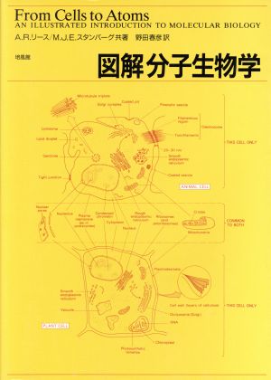 図解分子生物学