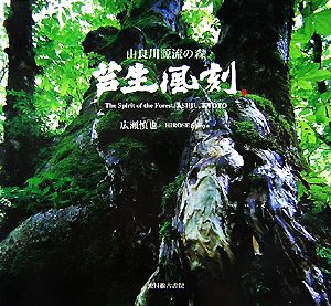 芦生風刻 由良川源流の森