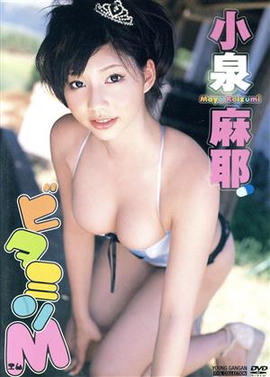 小泉麻耶アイドルDVD「ビタミンM」 中古DVD・ブルーレイ | ブックオフ