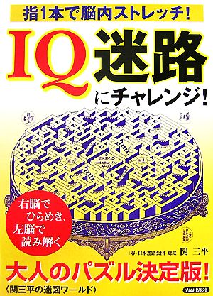 IQ迷路にチャレンジ！ 指1本で脳内ストレッチ！