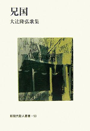 兄国 大辻隆弘歌集 新現代歌人叢書