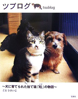 ツブログ 犬に育てられたもと捨て猫「粒」の物語