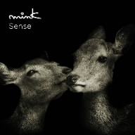 Sense(DVD付)