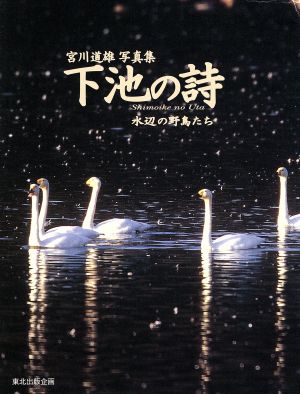 下池の詩-水辺の野鳥たち