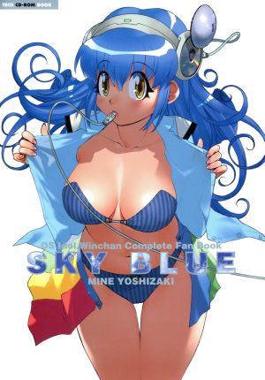 SKY BLUE 第2版 CD-ROM付OSアイドルWinちゃんコンプリートファンブックTech CD-ROM book