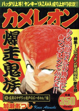 【廉価版】カメレオン 成南のヤザワVS松戸のエーちゃん!?編(9) 講談社プラチナC